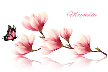 Fototapeta premium Beautiful magnolia branch with a butterfly. Vector.