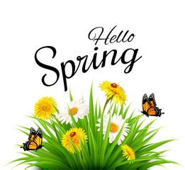 Obraz premium Spring background with grass, flowers and butterflies. Vector.