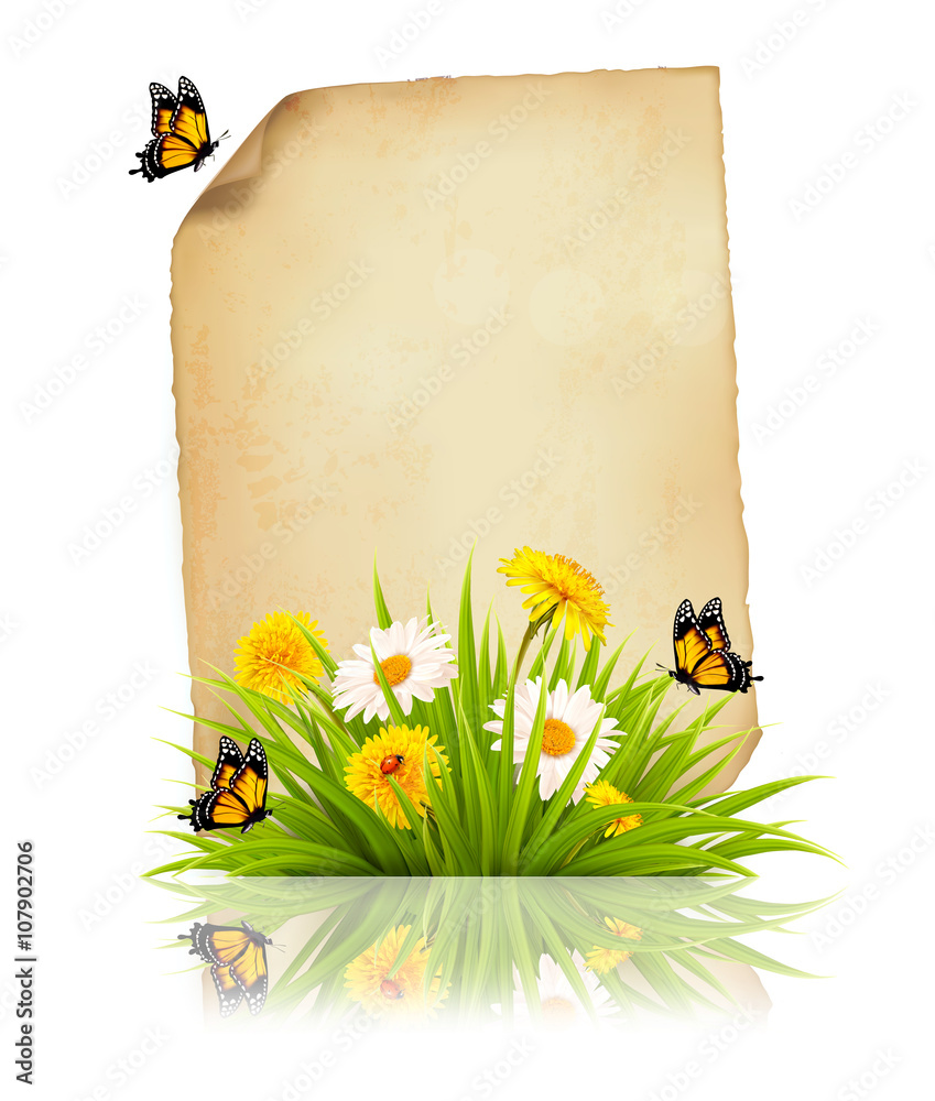 Poster old sheet of paper with spring flowers and butterflies. vector.