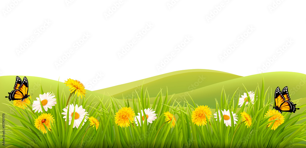 Poster spring background with grass, flowers and butterflies. vector.