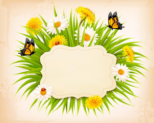 Spring banner with grass, flowers and butterflies. Vector.