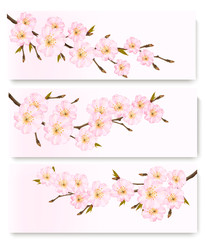 Three flower banners. Vector.
