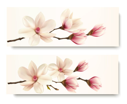 Two magnolia banners. Vector.