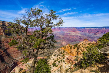 Amazing view of the grand canyon national park, Arizona. It is one of the most remarkable natural wonders in the world.