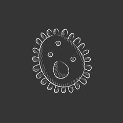 Bacteria. Drawn in chalk icon.