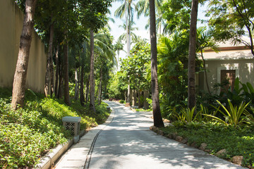 walk way in the park