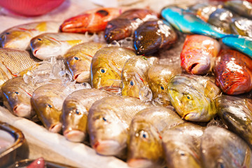 Different kinds of fish for sale at fish market in Asia