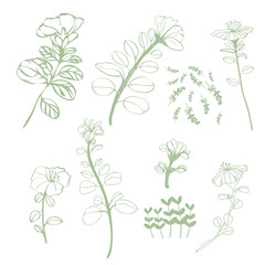 Green,Summer Flower digital hand drawn motifs 
