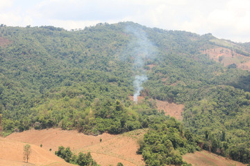 forest destruction with rainbow in thailand form Aerial view