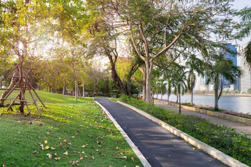 Bike lane in a park