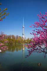 Lake TV tower at spring in Tashkent, Uzbekistan