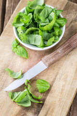 Portion of fresh Basil (close-up shot)