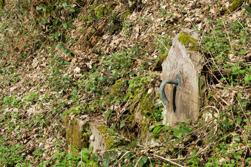 Old fountain by the wayside