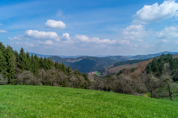 Fototapeta na wymiar Aussicht im Schwarzwald