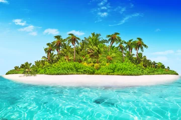 Foto op Plexiglas Hele tropisch eiland binnen atol in tropische Oceaan. © BRIAN_KINNEY