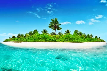 Fotobehang Whole tropical island within atoll in tropical Ocean. © BRIAN_KINNEY