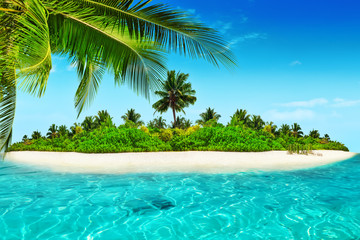 Obraz na płótnie Canvas Whole tropical island within atoll in tropical Ocean.