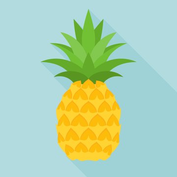 pineapple icon with long shadow, flat design
