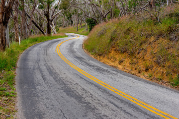 Curvy road with double yellow lines in forrest