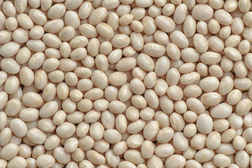 White bean background