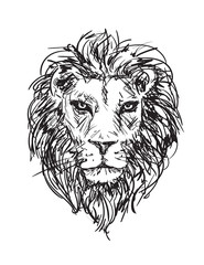 sketch lion head