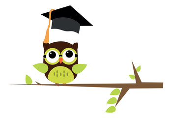 An illustration of a wise owl