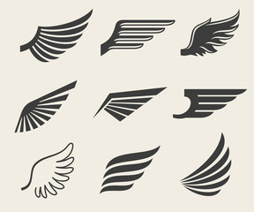 Wings vector icons set. Wing set, icon wing, feather wing bird illustration
