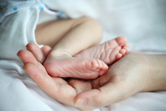 Baby's Feet in Mother Hand Closeup