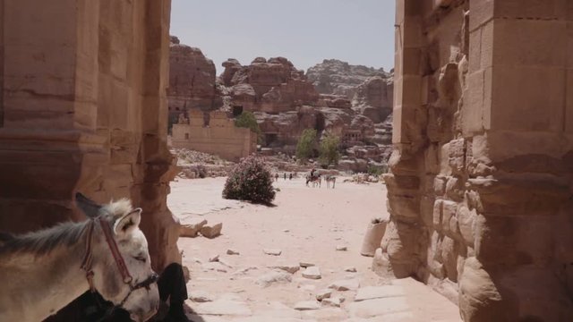 Moving through the colonnade street in the lost city of Petra