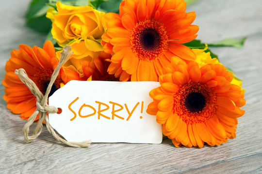 Sorry!