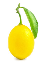 Lemon with leaf isolated on white