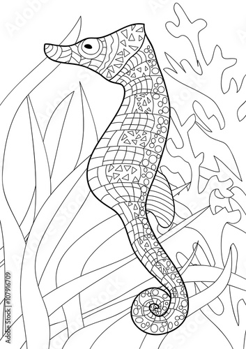 "Coloring page - Seahorse" Stock image and royalty-free vector files on