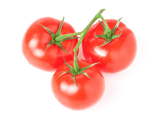 branch of three tomatoes isolated on white background