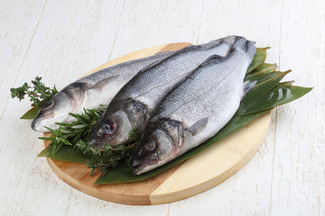 Seabass