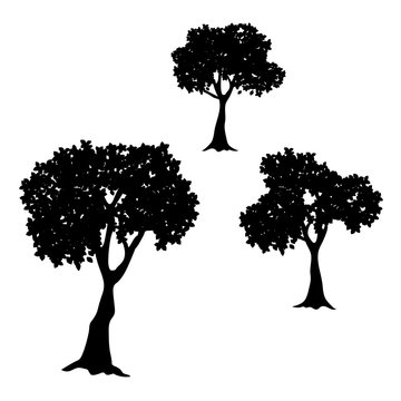 Tree collection - vector silhouette illustration