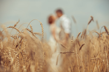 Happy embracing couple on the wheat field foreground. © diter