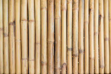 Dry tree trunks a bamboo аbstract background