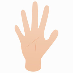Fototapeta premium Five fingers of hand icon, isometric 3d style