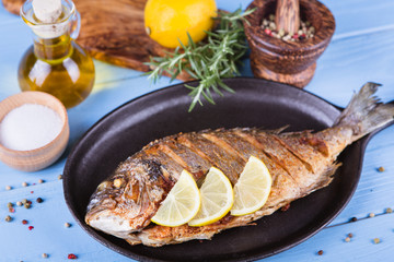 Fish dorado