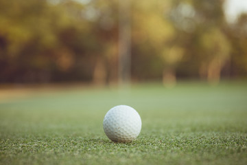 Vintage tone of Golf ball on the green