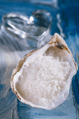 sea salt in sea shell oyster on blue