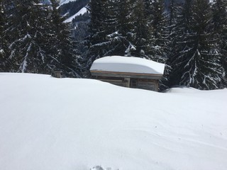 Hütte im Schnee