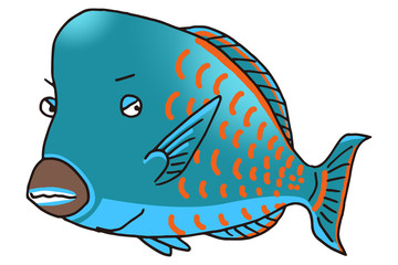 アオブダイのイラスト 