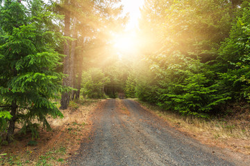 Obraz premium highway road