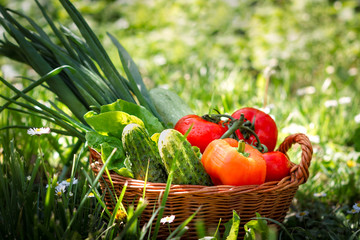 Fresh vegetables in weaved basket
