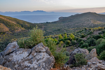 Fototapeta na wymiar olive and almond trees on the slopes on seaside valley on Mediterranean coast Datca peninsula, Turkey