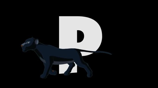 Letter P and Panther (foreground)
Animated animal alphabet. HD footage with alpha channel. Animal in a foreground of letter.