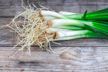 Scallion with root ends