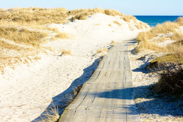 Wooden walkway or wheelchair trail on sandy beach going between sand dunes down towards the sea. A sunny and fine day at the beach. No person visible. Sandhammaren, Sweden.