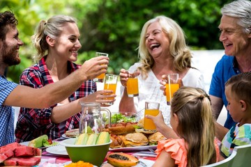 Family toasting drinks while having lunch at lawn
